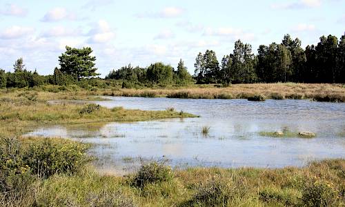Foto: Stefan Svenaeus 2014