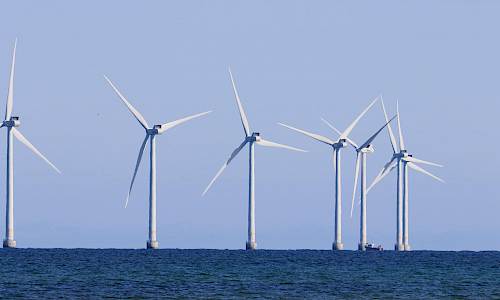 Foto: Stefan Svenaeus 2021