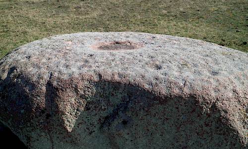 Foto: Stefan Svenaeus 2021