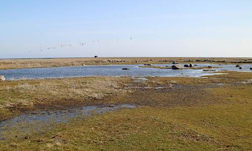 Foto: Stefan Svenaeus 2021