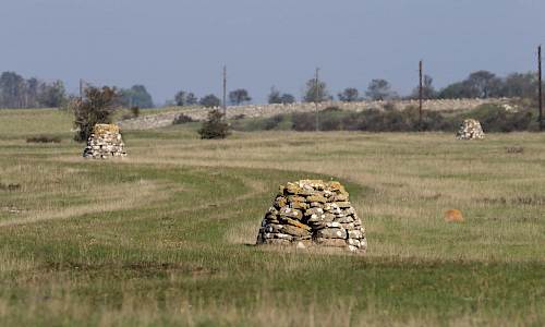 Foto: Stefan Svenaeus 2021