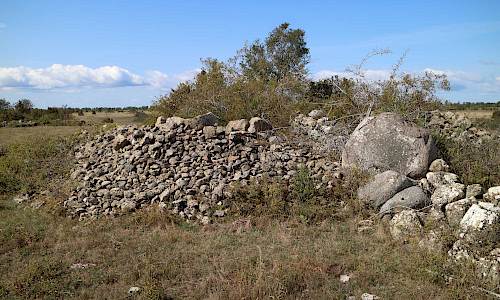 Foto: Stefan Svenaeus 2021