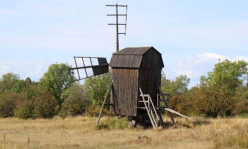 Foto: Stefan Svenaeus 2021