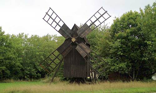 Foto: Stefan Svenaeus 2021