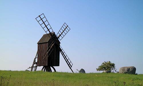 Foto: Stefan Svenaeus 2021