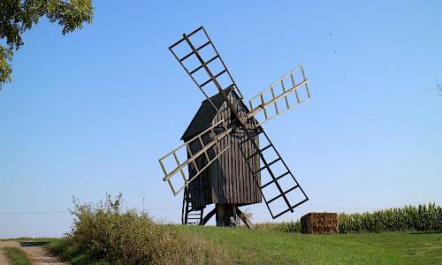 Foto: Stefan Svenaeus 2021