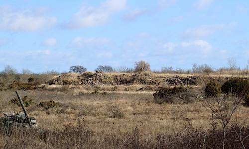 Foto: Stefan Svenaeus 2017