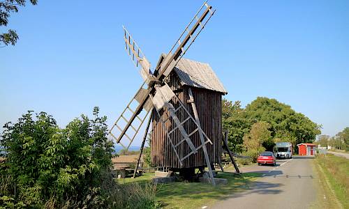 Foto: Stefan Svenaeus 2021