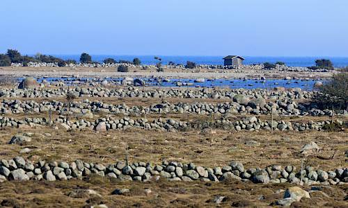 Foto: Stefan Svenaeus 2021