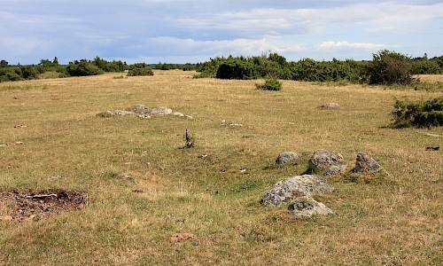 Foto: Stefan Svenaeus 2015