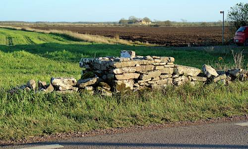 Foto: Stefan Svenaeus 2020