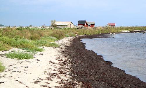 Foto: Stefan Svenaeus 2020