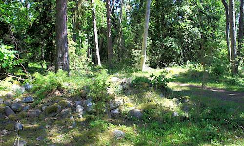 Foto: Stefan Svenaeus 2014