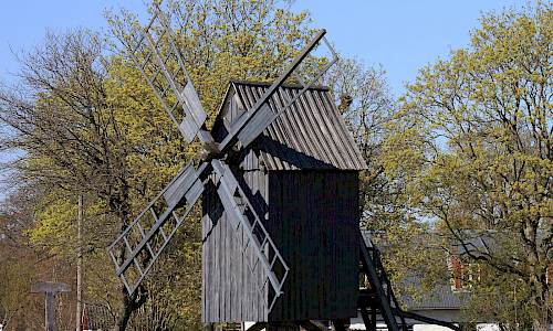 Foto: Stefan Svenaeus 2014