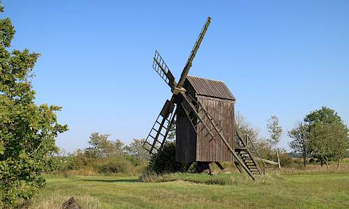 Foto: Stefan Svenaeus 2021