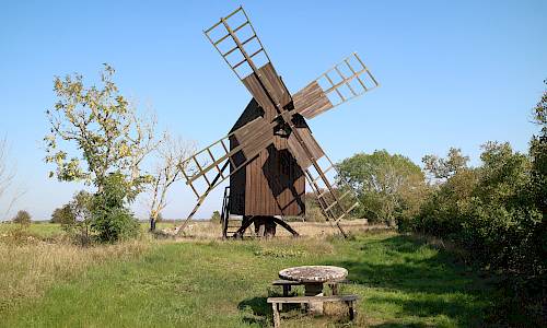 Foto: Stefan Svenaeus 2021