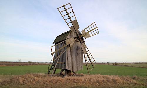 Foto: Stefan Svenaeus 2022