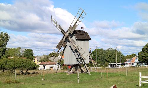 Foto: Stefan Svenaeus 2022
