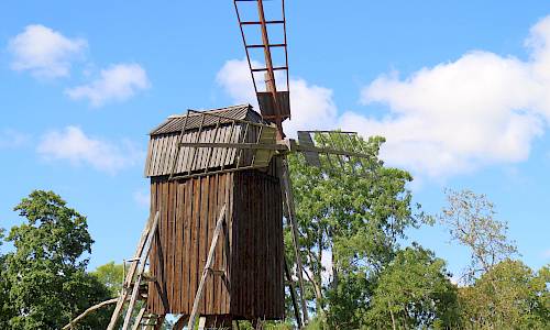 Foto: Stefan Svenaeus 2022