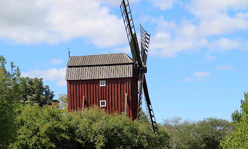 Foto: Stefan Svenaeus 2022