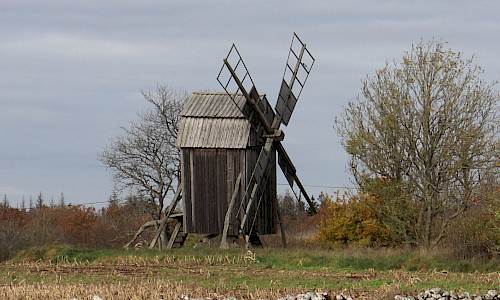 Foto: Stefan Svenaeus 2021