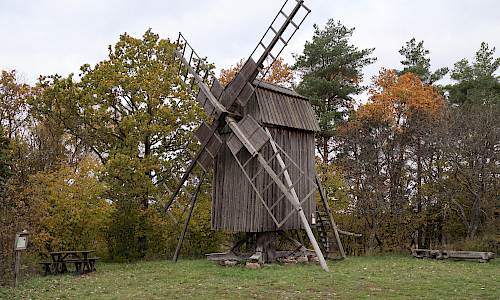 Foto: Stefan Svenaeus 2021