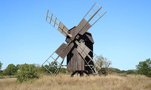 Foto: Stefan Svenaeus 2022