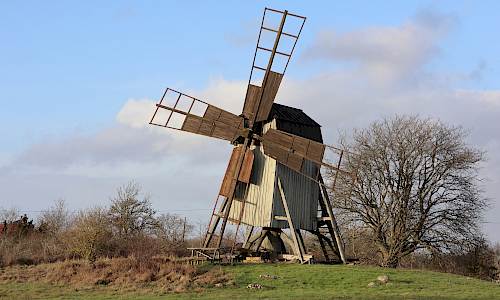 Foto: Stefan Svenaeus 2023