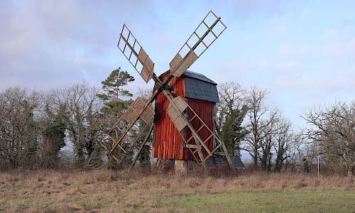 Foto: Stefan Svenaeus 2023