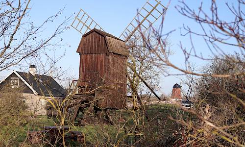 Foto: Stefan Svenaeus 2023