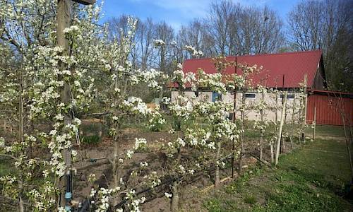 Foto: Sven Plasgård