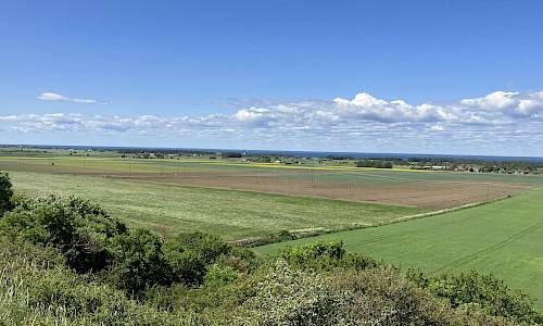 Foto: Stefan Svenaeus 2023