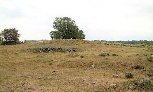Foto: Stefan Svenaeus 2023
