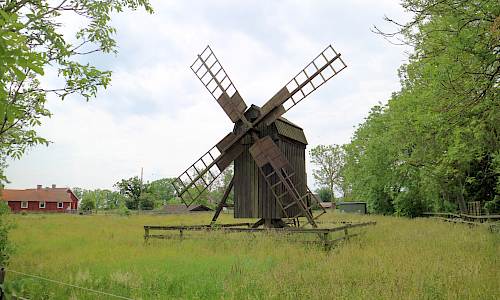 Foto: Stefan Svenaeus 2023