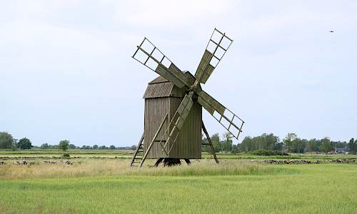 Foto: Stefan Svenaeus 2023