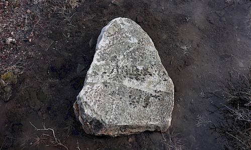 Foto: Stefan Svenaeus 2023