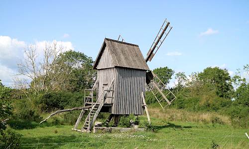 Foto: Stefan Svenaeus 2023