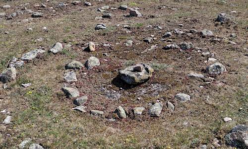 Foto: Stefan Svenaeus 2023