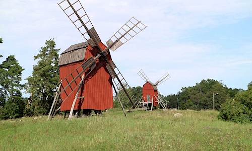Foto: Stefan Svenaeus 2023