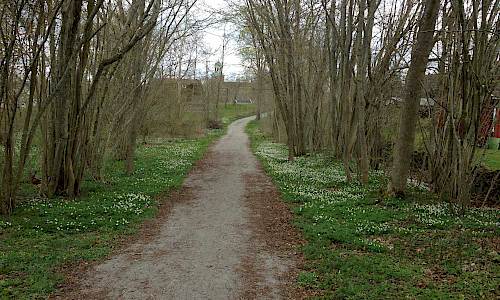 Foto: Stefan Svenaeus 2016