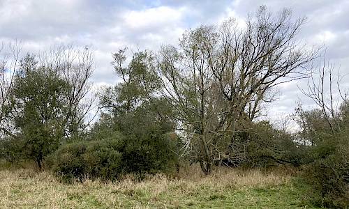Foto: Stefan Svenaeus 2023