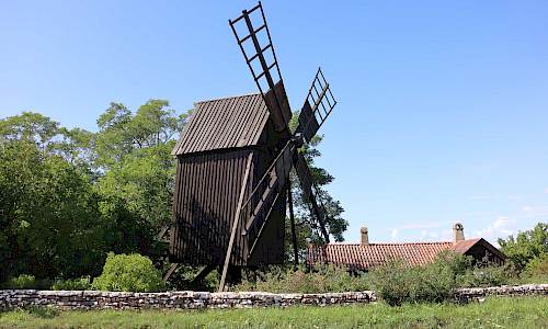 Foto: Stefan Svenaeus 2023