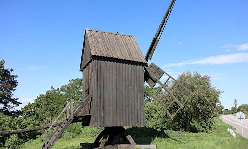 Foto: Stefan Svenaeus 2023