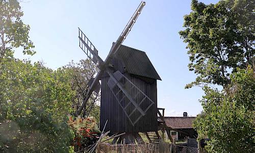 Foto: Stefan Svenaeus 2023