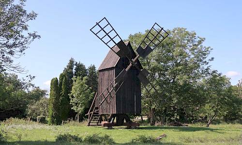 Foto: Stefan Svenaeus 2023