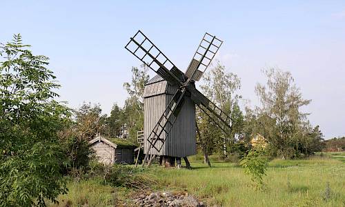 Foto; Stefan Svenaeus 2023
