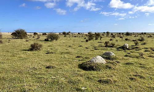 Foto: Stefan Svenaeus 2023