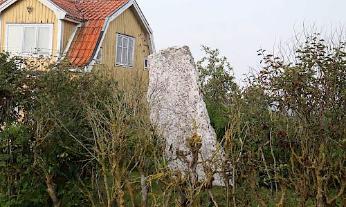 Foto: Stefan Svenaeus 2023