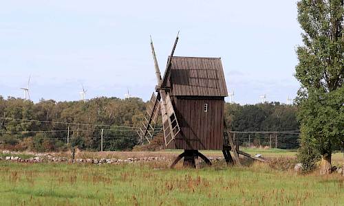 Foto: Stefan Svenaeus 2023