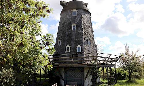 Foto: Stefan Svenaeus 2023